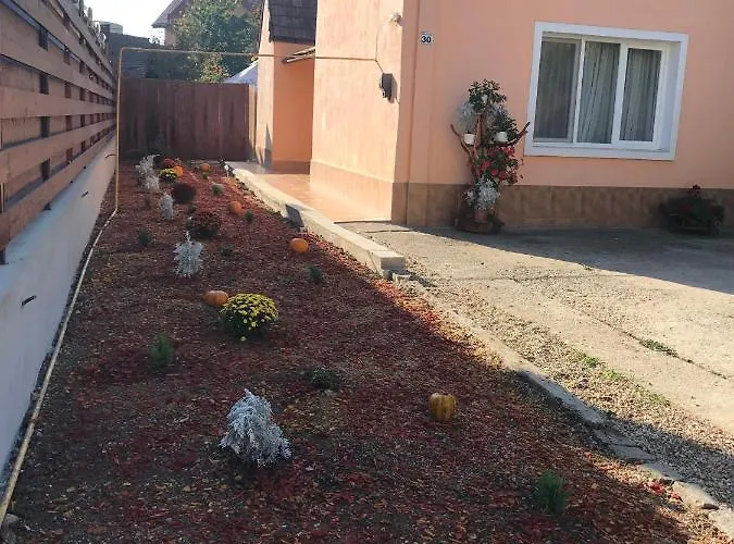 Semesterbostad Permissive *